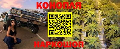 тгк Братск