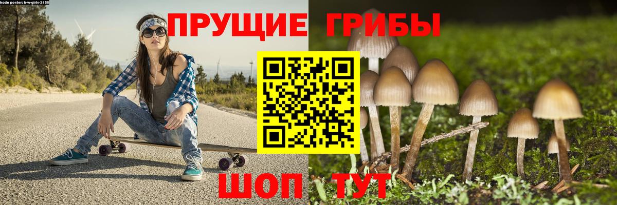 Галлюциногенные грибы Psilocybe  закладка  Подольск  Вход с VPN 